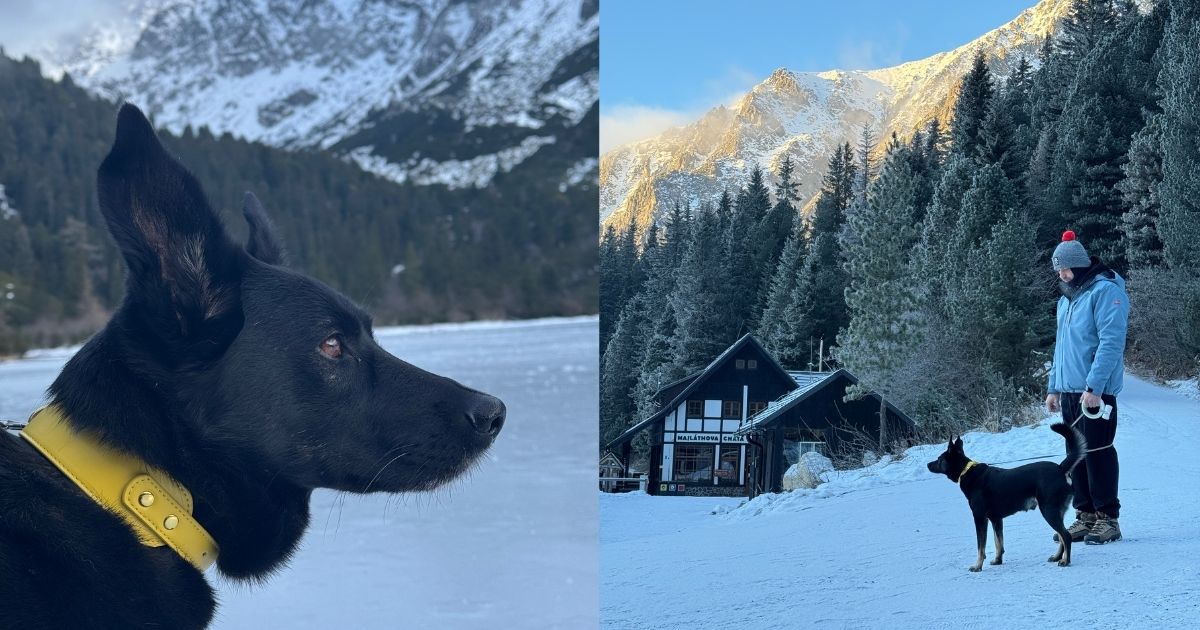 lilos doplnky pre psa